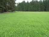 Dražba id. podílu 1/6 pozemků v k.ú. Koryčany, okr. Kroměříž